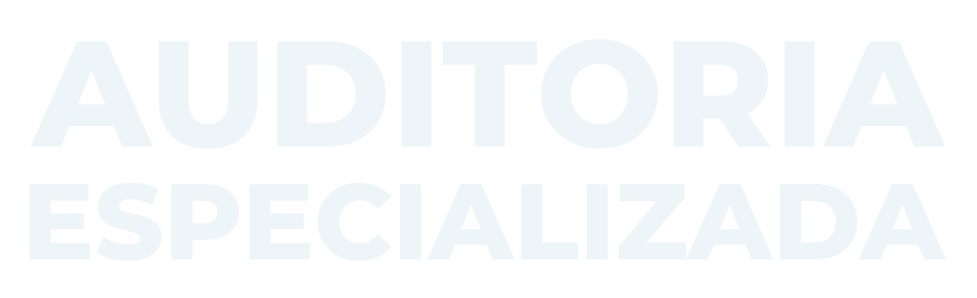 Auditoria especializada